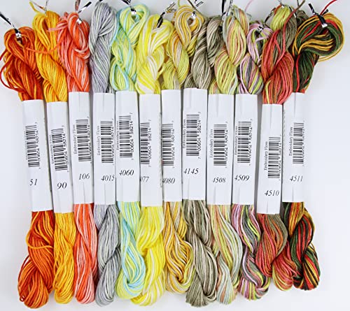 KCS Big skeins of 25 Meters Size 25 Color Variegated Cross Stitch Stranded Threads,12 skeins,09 - color: 12skeins09, size: 12 skeins