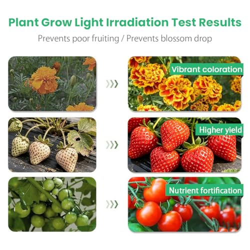 Grow Lights for Indoor Plants 2 Heads Full Spectrum plant light growing - size: 2 heads