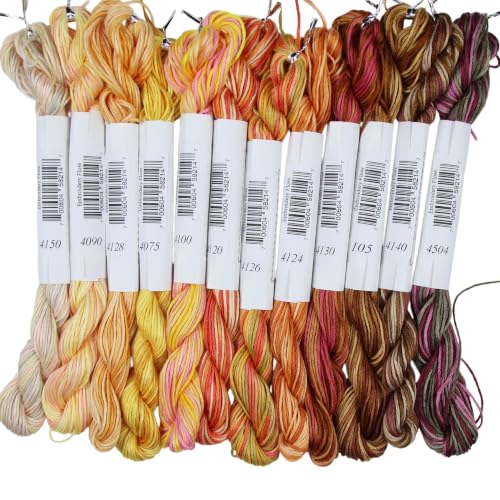 KCS Big skeins of 25 Meters Size 25 Color Variegated Cross Stitch Stranded Threads,12 skeins,08 - color: 12skeins08, size: 12 skeins