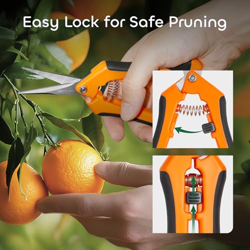 GROWNEER 6 Packs Pruning Shears Gardening Hand Pruning Snips with Straight Stainless Steel Precision Blades - style: Orange