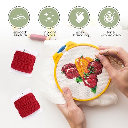 Embroidery Floss Kit and Refills - Cotton Threads - DMC Color Coding for Cross Stitch, String Crafts, Friendship Bracelets - color: 777 Sangria