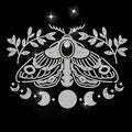 MAYJOYDIY Moth Moon Phase Rhinestone Iron on Hotfix Transfer Branch Leaves Star Heat Transfer Sticker Bling Rhinestone Clothing Decoration Applique for Shirt Bag Hat Jacket Jeans Shoes DIY Crafts - style: Moth Moon Phase