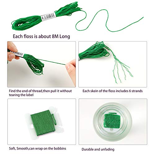 Pllieay 24 Skeins Friendship Bracelets Floss, Green Gradient Embroidery Floss, Cross Stitch Threads with 6 Floss Bobbins, 2 Embroidery Needles and 1 Needle Threader for Cross Stitch Project - color: Green Gradient