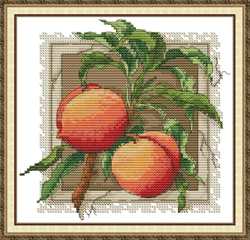 CaptainCrafts Cross Stitch Kits, Stamped Fabric Cross Stitching DIY Art DMC Needlecrafts Embroidery Kit for Adults Beginner (Red Apricot, Stamped) - color: Red apricot, size: Stamped