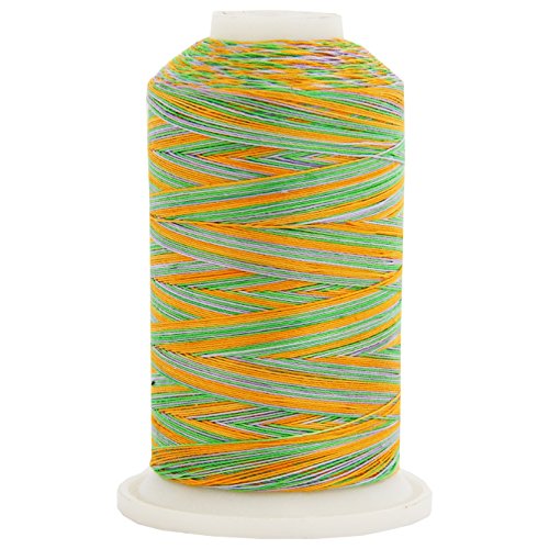 ThreadArt Multicolor Cotton Thread, 600M 40/3, Fields 2643 - color: Fields