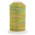 ThreadArt Multicolor Cotton Thread, 600M 40/3, Fields 2643 - color: Fields