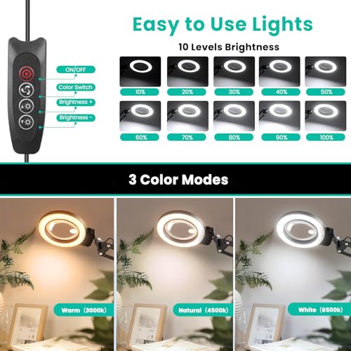 10X/30X Magnifying Glass with Light and Stand, 2-in-1 Magnifying Floor Lamp with 72 Adjustable Brightness LED Lamp Bulbs, Flexible Standing Magnifying Lamp - color: Black - Foldable Arm
