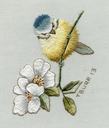 Trish Burr's Embroidery Transfers: Over 70 iron-on designs