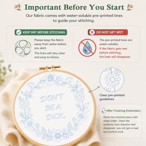 Louise Maelys Funny Quote Embroidery Kit for Beginners, Floral DIY Craft - color: Funny Quote