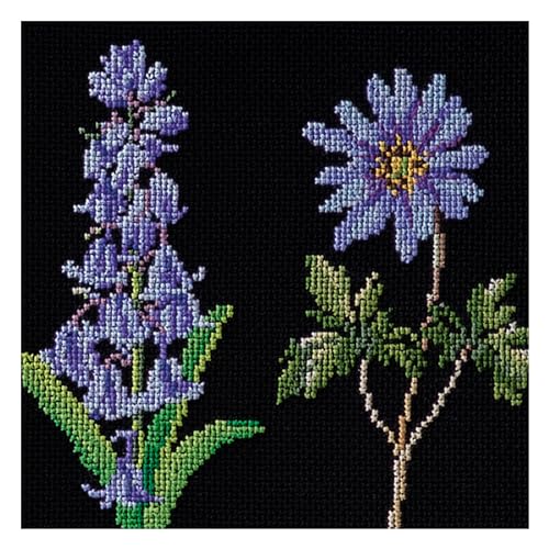 Thea Gouverneur - Counted Cross Stitch Kit - Bulbs - Aida Black - 18 Count - Embroidery Kit for Adults - DMC Embroidery Threads and Other Cross Stitch Supplies Included - 1087.05