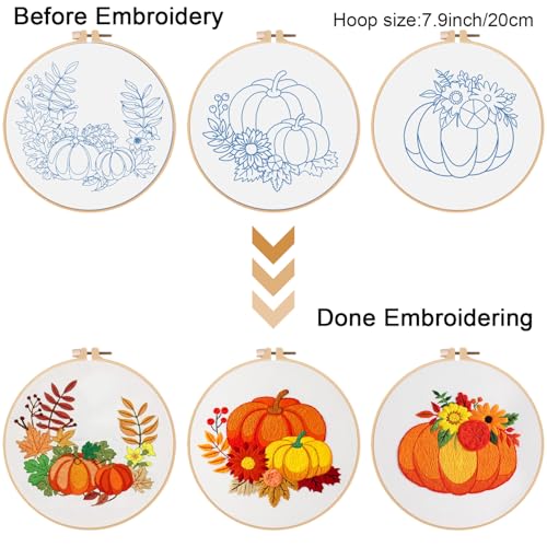 Louise Maelys 3 Set Embroidery Kit for Beginners with Pumpkin Harvest - color: pumpkin flower