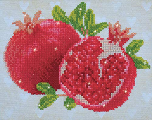 DIAMOND DOTZ Good Fortune Pomegranate Diamond Painting for Adults with Gems - size: 1