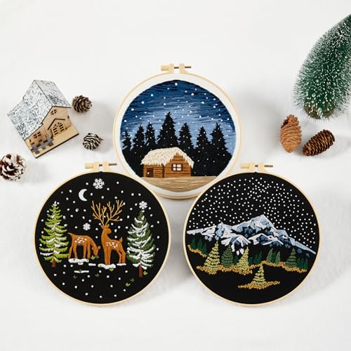 Armindou Embroidery Kit for Beginner Adults, Counted Stamped Cross Stitch kit for Adult Beginner, Hand Embroidery Starter Kits with Pattern, 3 Embroidery Hoop, Fabric (Attached Teaching Video QR Code) - color: Night Scene, size: 8inch