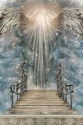 Moohue 14CT Stamped Cross Stitch Kits for Adults Beginners Angel WingsCounted Cross Stitch Kits for Adults Advanced (Angel's Wings) - color: Angel's Wings