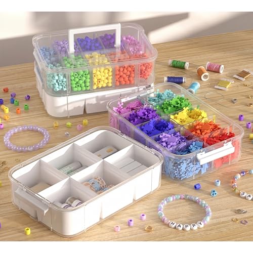 CraftGenes Craft Storage Organizer, 4-Tier Box with 20 Dividers