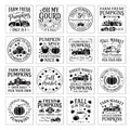 16 Pcs Fall Rub on Transfers for Crafts Furniture 5.9x5.9 Inch - color: Letter Slogon