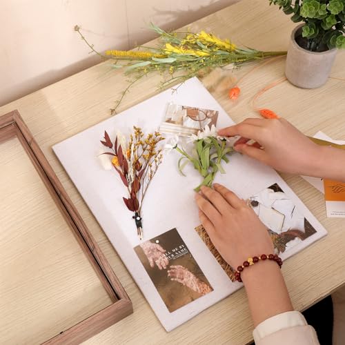 Muzilife 11x14 Shadow Box Wood Picture Frame, Tempered Glass, Brown - color: Brown, size: 11x14