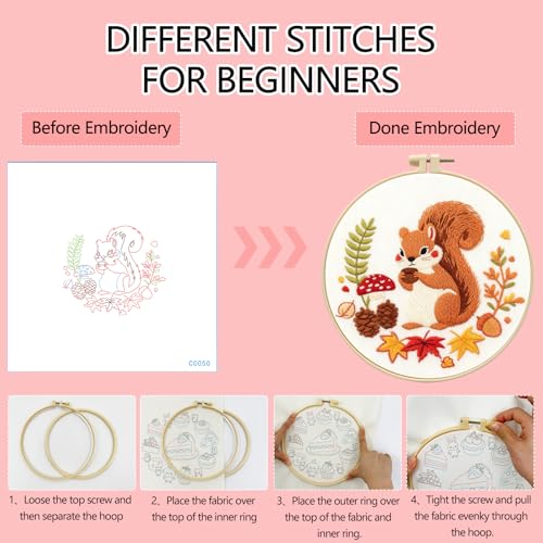Zhenqing Squirrel with Pinecone Embroidery Kit for Beginners, Pre-Printed 29x29cm Cotton Fabric & 20cm Hoop, Cute Autumn Animal Design with Mushrooms & Maple Leaves(C0050)