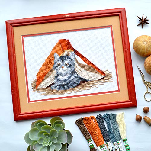 Counted Cross Stitch Kit 'Mischief Kitten' DIY Embroidery Set with Counted Gray Tabby Cat Pattern