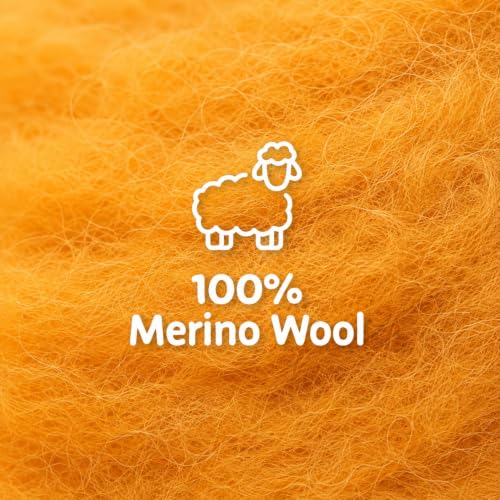 Woolbuddy Merino Wool Roving Kit for Needle Felting (Summer) 10g Per Color - color: Wool bag Summer