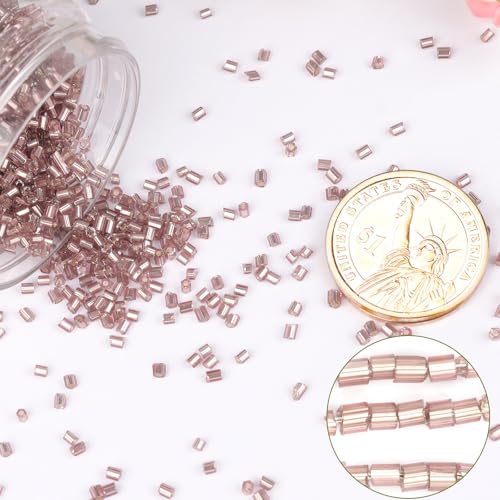 6000pcs Deep Grape Purple Bugle Beads Bulk, Embroidery Tube Short Beads for Jewelry Making, Bracelet,Necklaces Supplies,Craft DIY(3x2mm) - color: Deep Grape Purple