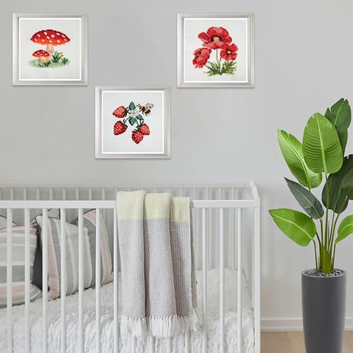 Trimits 3PK Cross Stitch Bundle – Counted Embroidery Kit, Beginner & All Level Starter Set, Complete with Instructions & Thread Children Wall Home DIY Décor – 13x13cm – Toadstool,Strawberries,Poppies - style: Toadstool,Strawberries,Poppies