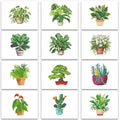 PeakLuv Small Diamond Art Kits Green Plants Mini Diamond Painting Kits - color: Green Plants