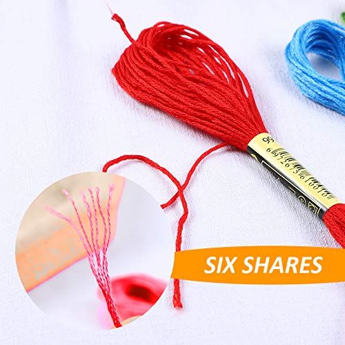 Embroidery Floss Kit-24 Skeins Premium Cross Stitch Thread for Knitting, Embroidery Stitching and Cross Stitch Project - color: Red