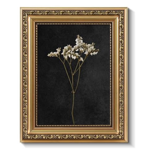 ARPEOTCY Vintage Gold Framed Wall Art, Dark Dried Wildflower Paintings, Small Canvas Prints Artwork with Frame, Classical Victorian Wall Decor for Living Room Bathroom Bedroom Shelf, 8x10 inch - color: Dark Dried Wildflower, size: 10"L x 8"W