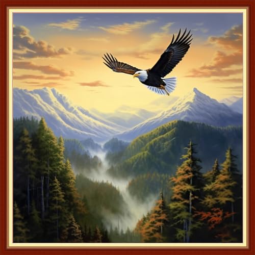Funxvoot Stamped Cross Stitch Kits Beginners Full Range of Embroidery Kits for Adults 11CT Embroidery Patterns Needlepoint Kits Printed Cross Stitch Kits - (Eagles Soaring 18x18 inch) - color: Cross Stitch Kits 34