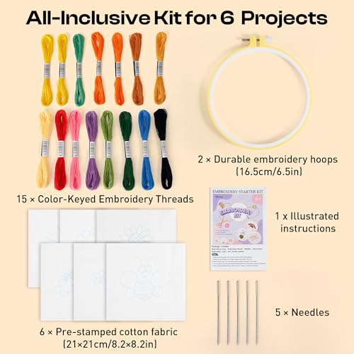 Pllieay 6PCS Embroidery Kit for Beginners, Needlepoint Kits for Beginners - style: Flowers
