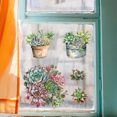 Peacoblue Succulent Rub On Transfers for Furniture Craft 6"x12" - style: Succulent and Cactus