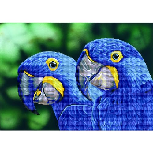 DIAMOND DOTZ Blue Hyacinth Macaws Diamond Painting Kit for Adults with Gems - size: 37 x 52cm