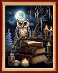 Redxing Stamped Cross Stitch Kits Full Range of Embroidery Starter Kits- Needlepoint Counted Cross Stitch Kits for Beginner Adults 11CT Printed Embroidery Kit-Owl Moon 16x20 inch - color: Artskits03