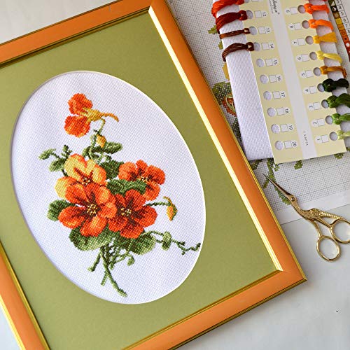 Povitrulya Summer Flowers Cross Stitch Kit 'Nasturtium' - Floral DIY Embroidery Set for Adults with Paper Pattern and Prestored Floss - color: Nasturtium
