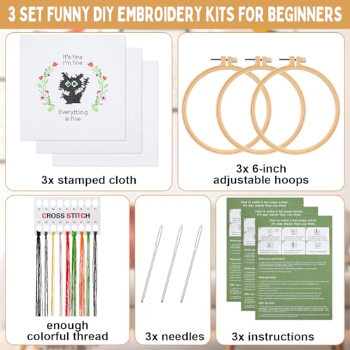 Daifunli 3 Sets Funny DIY Embroidery Kits for Beginners Adults - style: Classic