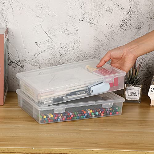BTSKY Clear Plastic Storage Box with Flap Lid,2 Pack Medium-10.8"x7.9"x2.1" - size: Medium-2 Pack
