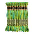 Magical Color Variegated Cross Stitch Thread Color Variations Embroidery Floss Pack, 8.7-Yard, Roaming Pastures, Pack of 12 Skeins