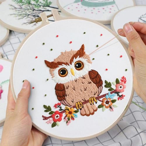 Louise Maelys Cute Owl Embroidery Kit for Beginners Animal DIY - color: Color 24
