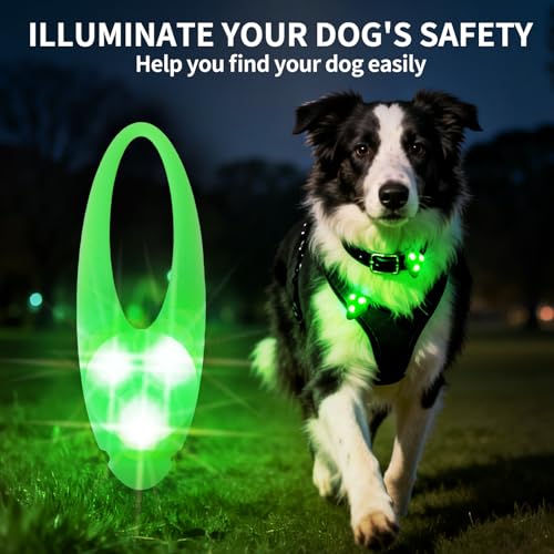LaRoo Dog Lights - Led Collar Lights for Nighttime Walking - color: Green-A