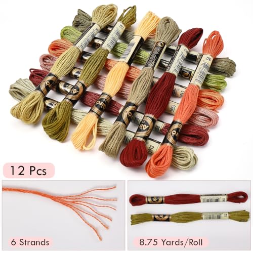 12 Skeins 105 Yards Variegated Embroidery Floss Thread for Craft - color: Autumn Colors