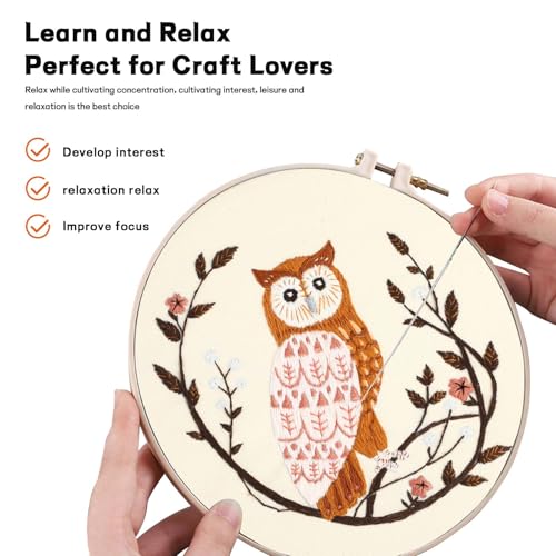 Beginner Owl Embroidery Kit for Adults, Pre-Printed with Video Tutorial - color: Owl