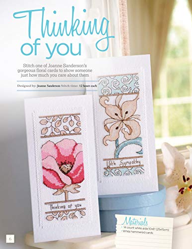 Cross Stitched Cards for Special Occasions: Creative Designs for Birthdays, Holidays, and More (Design Originals)