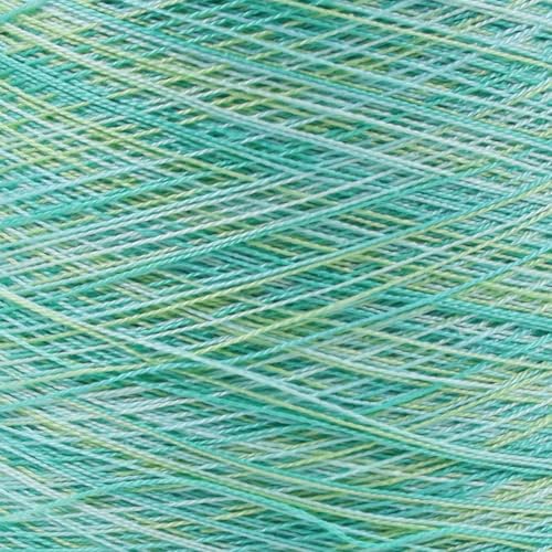KCS 162 Yards(150 Meters) Mercerized Pearl Cotton Crochet Needlepoint Thread,Size 5,6 skeins,4040 - color: 4040