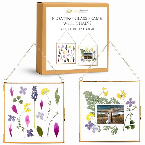 Glass Frame for Pressed Flowers, Leaf and Artwork - Hanging Gold 6x6 Square Metal Picture Frames, Clear Double Glass Floating Frame, Wall Decor Photo Display, Set of 2 Flower Press Frames with Chain - color: Gold, size: 6x6