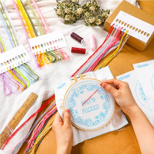 Daifunli 3 Sets Funny DIY Embroidery Kits for Beginners Adults - style: Floral