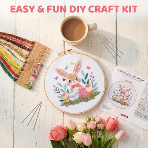 WaFtesh Embroidery Kits for Beginners Adult, DIY Hand Embroidery Cross Stitch Starter Set with Pattern, 3D Rabbit Needlepoint & Cross Stitch 7.9 Inch Hoop Threads, Needles, Instruction - color: Bunny-2