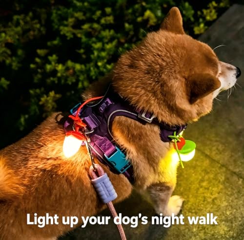 LaRoo LED Dog Collar Charm, Rechargeable Light with 3 Modes, Natural Rubber Pet Safety Light, 5 Hour Glow(Yellow) - color: Yellow-C