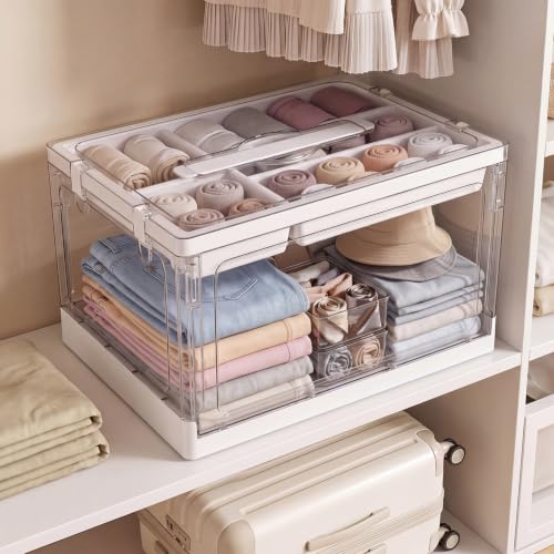 24QT 2Packs Clear Craft Organizers and Storage with Trays - size: 24QT 2 Packs