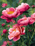 Moohue 14 ct Counted Cross Stitch Kits for Adults Flowers Cross Stitch Patterns Stamped Printed Cross Stitch Kits (Flowers 11) - color: Flowers 11
